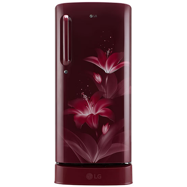 190 L, Smart Inverter Compressor